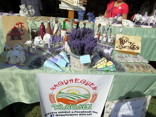 Megyei Közfoglalkoztatási Kiállítás 045